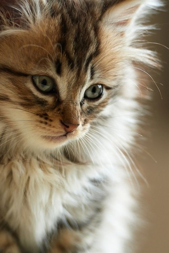 9e95839d580c25a4d6d9cae0e7beaade