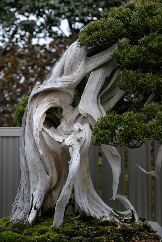 25660280_10214686811990135_4360825806008057665_n (1)